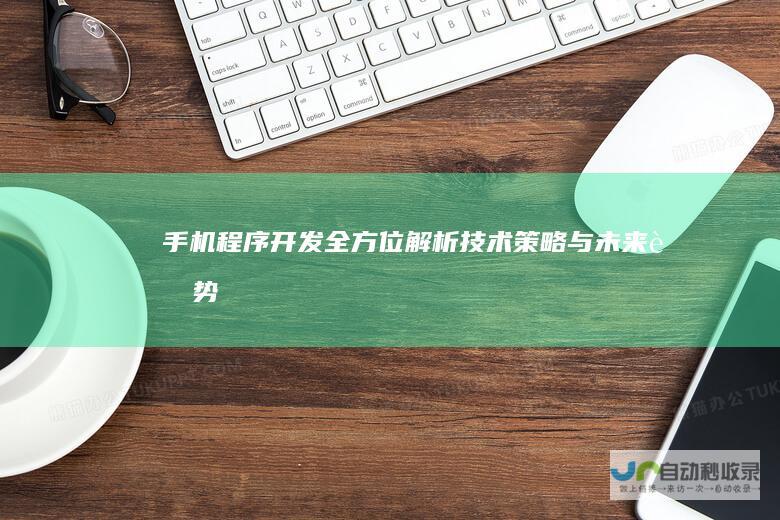 手机程序开发全方位解析：技术、策略与未来趋势