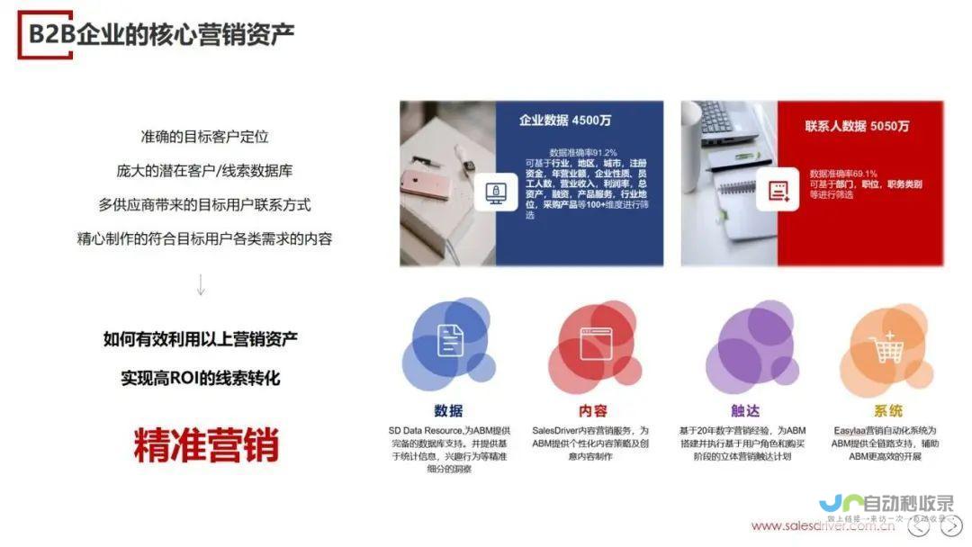 网络公司引领品牌增长